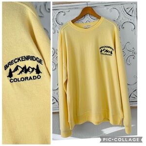 NEW MENS VINEYARD CREW AUTHENTIC VINTAGE BRECKENRIDGE COLORADO FLEECE PULLOVER